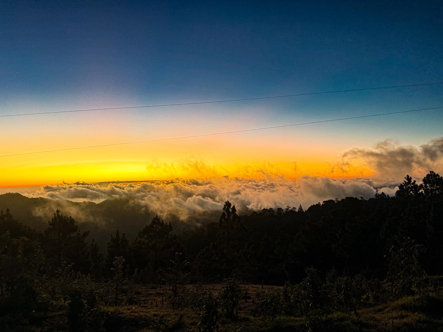 SCOUTING CAMINO A LA LIBERTAD